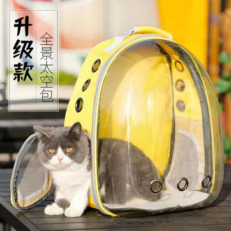 猫包全透明外出便携宠物背包狗双肩大容量外带猫书包夏天猫